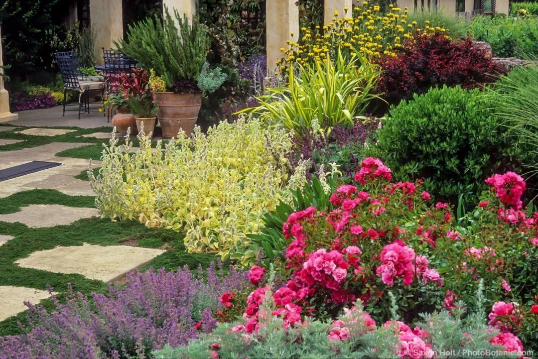 混合花境設(shè)計(jì)與種植建議