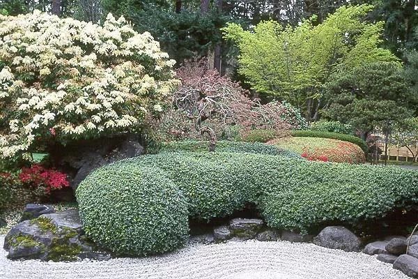 混合花境設(shè)計(jì)與種植建議
