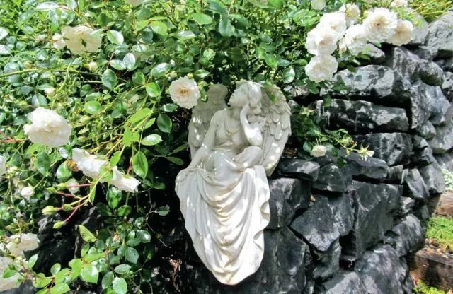 混合花境設(shè)計(jì)與種植建議