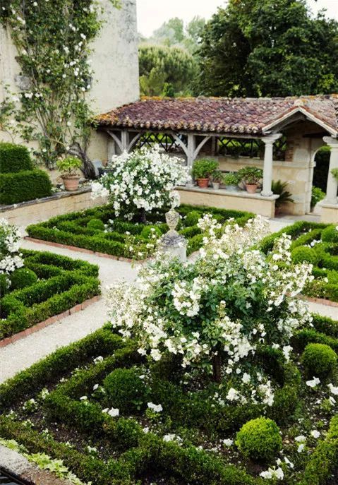 混合花境設(shè)計(jì)與種植建議