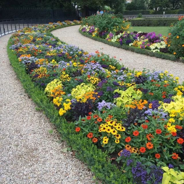 混合花境設(shè)計(jì)與種植建議