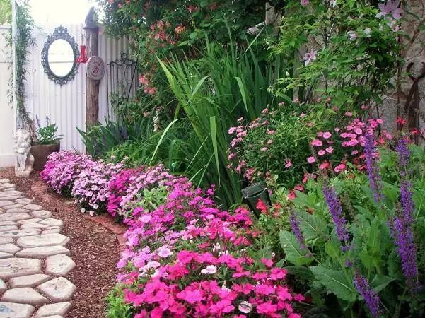 混合花境設(shè)計(jì)與種植建議