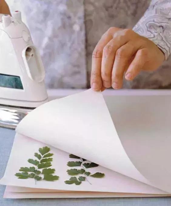 干花蠟燭、花藝書簽制作步驟