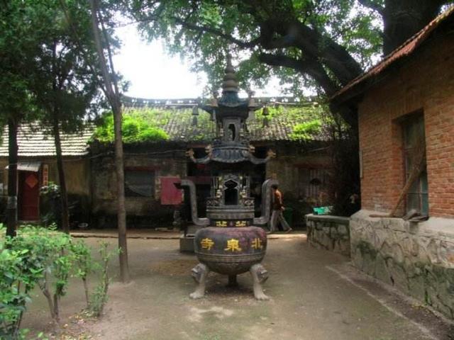 河南千年古寺里的千年古樹仍枝繁葉茂