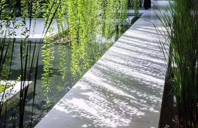 植物與水的搭配讓景觀充滿詩情畫意