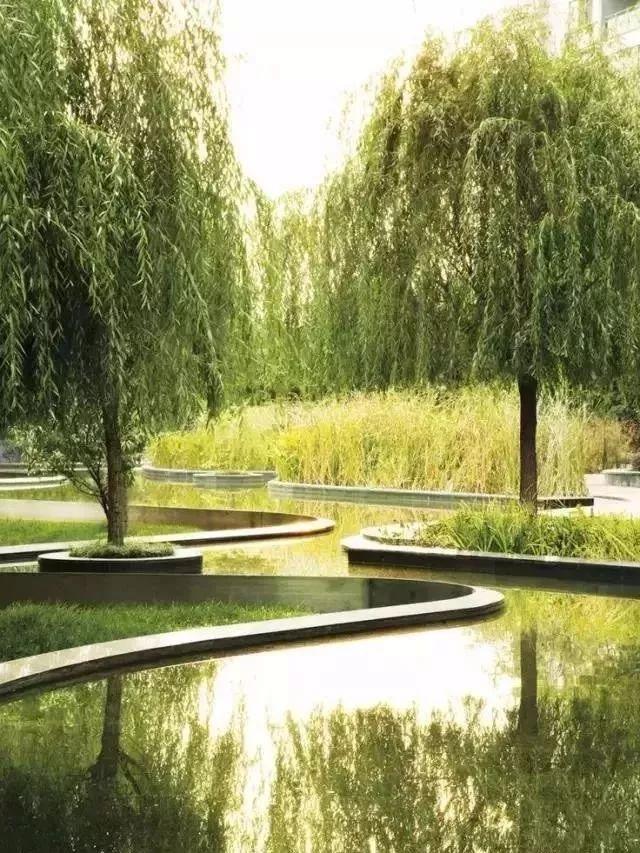 植物與水的搭配讓景觀充滿詩情畫意