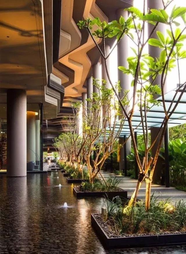 植物與水的搭配讓景觀充滿詩情畫意