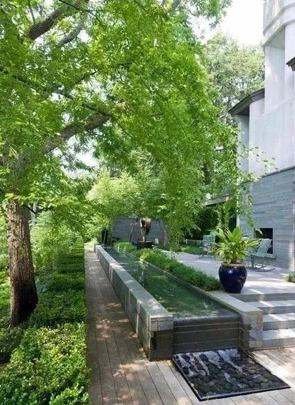 植物與水的搭配讓景觀充滿詩情畫意