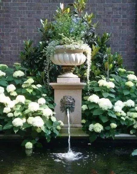 植物與水的搭配讓景觀充滿詩情畫意