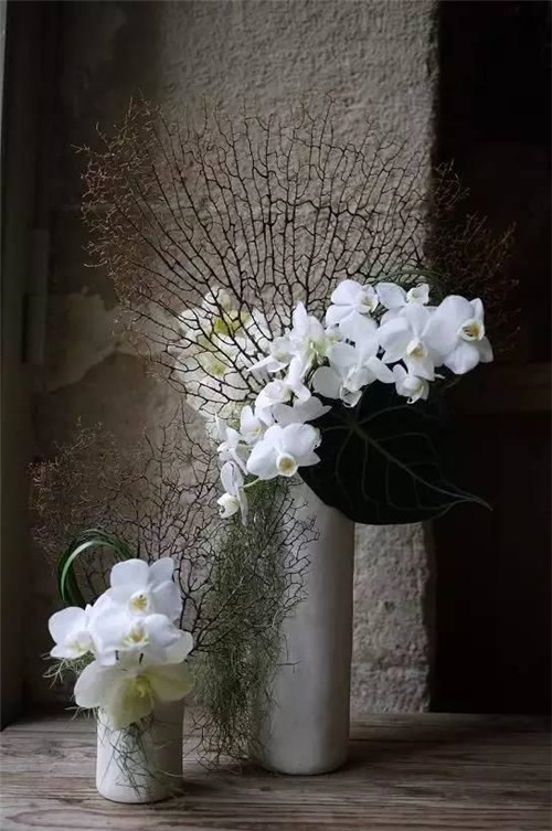 令你耳目一新的意境花藝