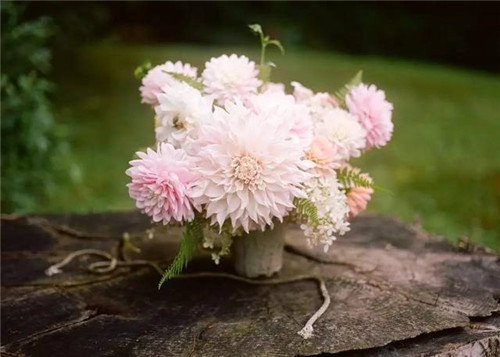 超美的插花作品,花藝師必學!