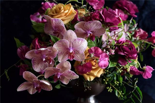 超美的插花作品,花藝師必學!