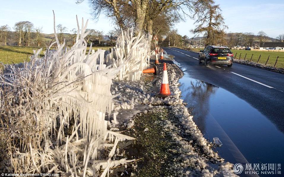 天太冷，英國植物變冰雕