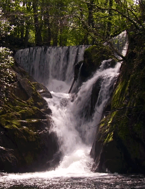 流水公園背后的故事