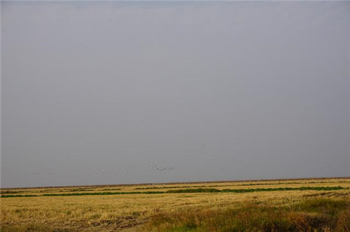 江西九江市千年古鎮永修吳城