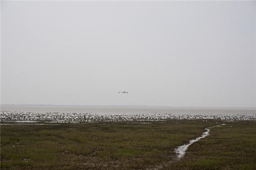 江西九江市千年古鎮永修吳城