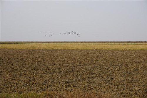 江西九江市千年古鎮永修吳城