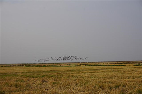 江西九江市千年古鎮永修吳城