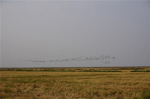 江西九江市千年古鎮永修吳城