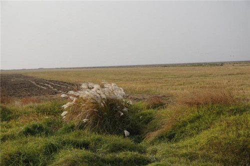 江西九江市千年古鎮永修吳城