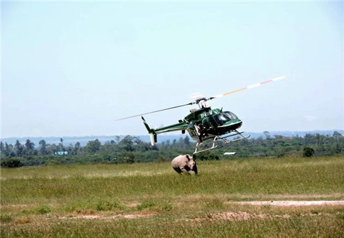 諶良仲：保護生物多樣性的戰斗仍將繼續