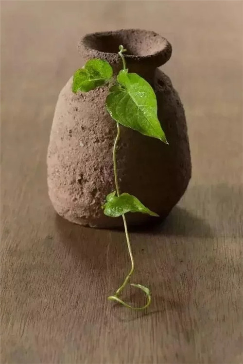 自制禪意插花,與心靈碰撞的心靈藝術