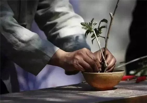 自制禪意插花,與心靈碰撞的心靈藝術