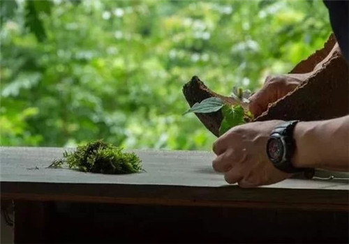 自制禪意插花,與心靈碰撞的心靈藝術