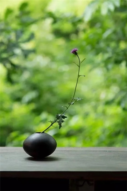 自制禪意插花,與心靈碰撞的心靈藝術