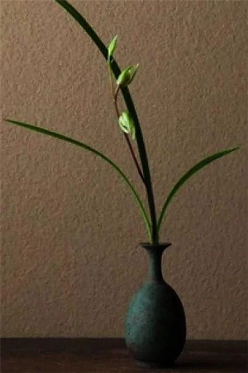 自制禪意插花,與心靈碰撞的心靈藝術