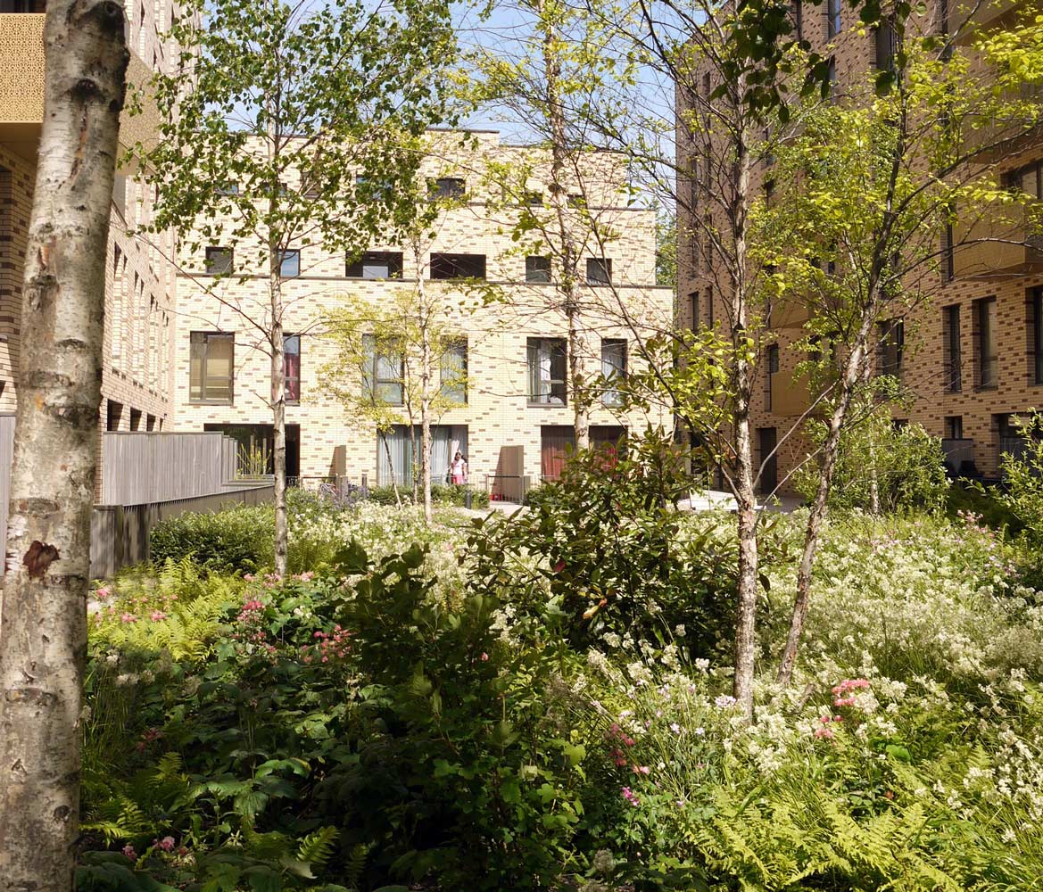 倫敦圣安德魯斯高密度住宅區景觀設計