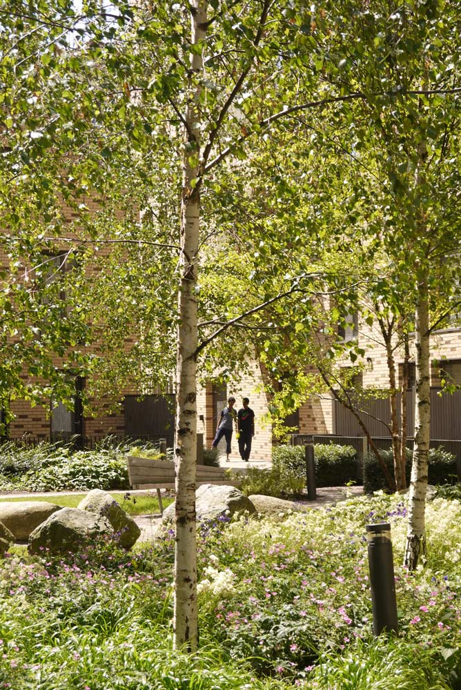 倫敦圣安德魯斯高密度住宅區景觀設計