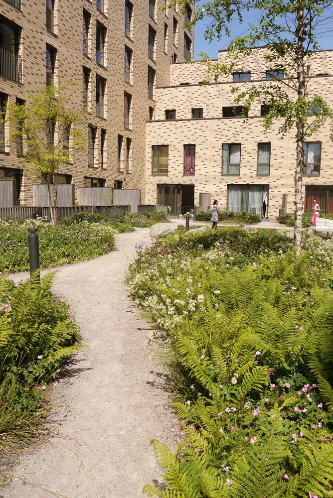 倫敦圣安德魯斯高密度住宅區景觀設計