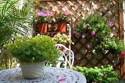 不想給花卉換盆,花卉盆土不板結(jié)怎么辦