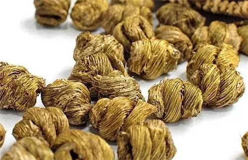 瀕臨滅絕的珍貴仙草——鐵皮石斛