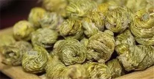 瀕臨滅絕的珍貴仙草——鐵皮石斛