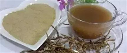 瀕臨滅絕的珍貴仙草——鐵皮石斛