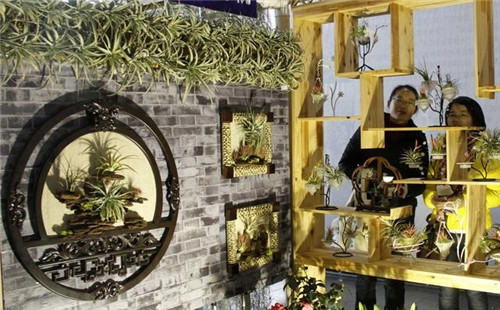 如何挑選年宵花卉?年宵花卉都有哪些