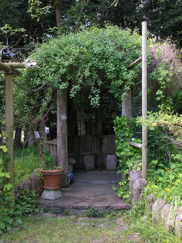 藝術(shù)家創(chuàng)造花園的方法