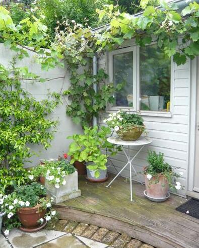 如何將城市里小塊土地變?yōu)槌鞘芯G洲