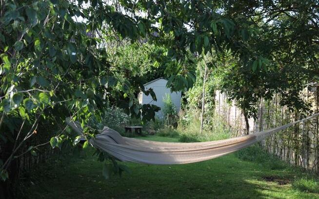 如何將城市里小塊土地變?yōu)槌鞘芯G洲
