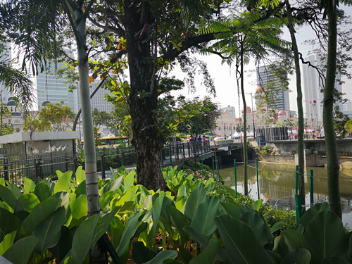 馬來西亞景觀考察:生命之河與Linear事務所