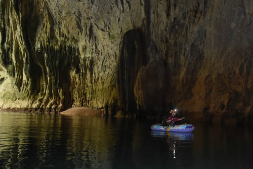 研究發現31種僅存在中國洞穴里的植物