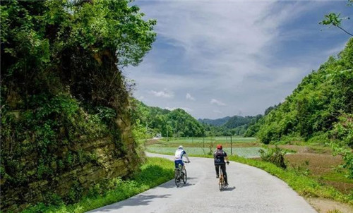 走進千年古樹群風景區