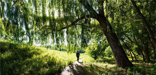 紐約Long Dock彈性濱河公園景觀設(shè)計(jì)