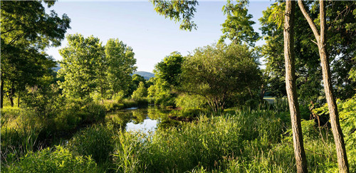 紐約Long Dock彈性濱河公園景觀設(shè)計(jì)