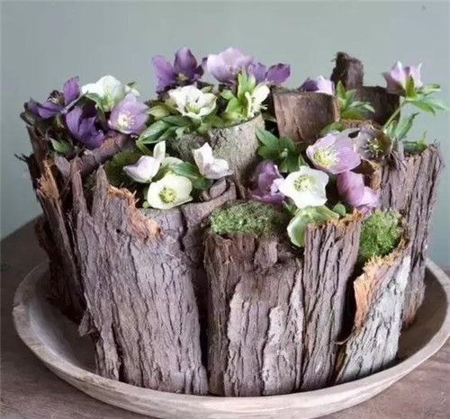 家庭插花常用的容器，花藝師必知