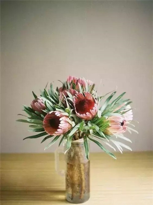 家庭插花常用的容器，花藝師必知