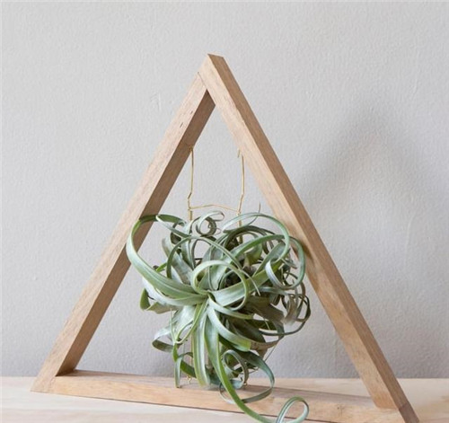 花藝中最受歡迎的10種花材，你都知道嗎？