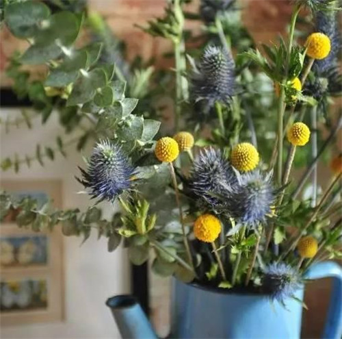 花藝中最受歡迎的10種花材，你都知道嗎？